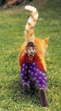TREND WATCH: Couture Cats